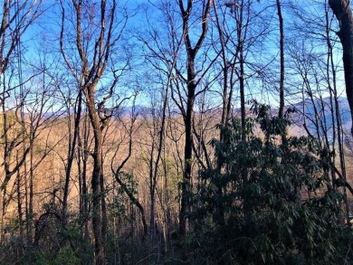 Beautiful level lot with long range views of the Great Smoky - Lake Lot For Sale in Robbinsville, North Carolina