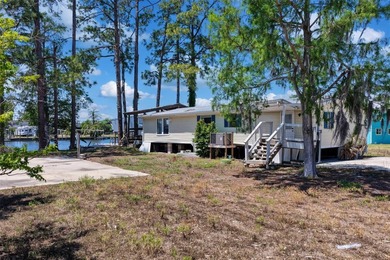 Talk about POTENTIAL! TWO amazing lots coming in at nearly .27 - photo 5