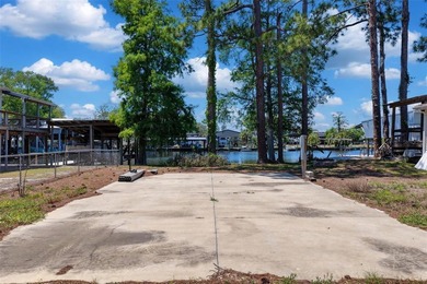 Talk about POTENTIAL! TWO amazing lots coming in at nearly .27 - photo 6