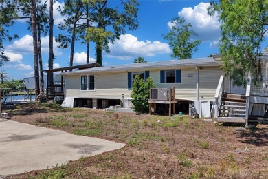 Talk about POTENTIAL! TWO amazing lots coming in at nearly .27 - photo 7
