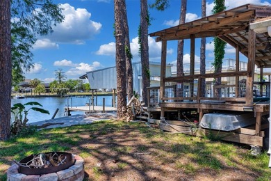 Talk about POTENTIAL! TWO amazing lots coming in at nearly .27 - photo 8