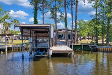 Talk about POTENTIAL! TWO amazing lots coming in at nearly .27 - photo 9