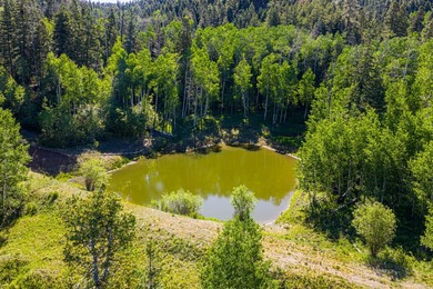 Just 31 miles south of Pagosa Springs, CO and less than 2 miles - photo 11