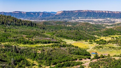 Just 31 miles south of Pagosa Springs, CO and less than 2 miles - photo 12