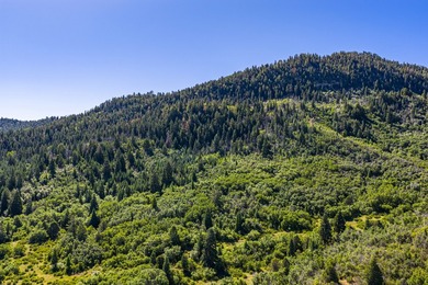 Just 31 miles south of Pagosa Springs, CO and less than 2 miles - photo 13
