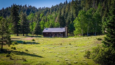 Just 31 miles south of Pagosa Springs, CO and less than 2 miles - photo 14