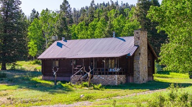 Just 31 miles south of Pagosa Springs, CO and less than 2 miles - photo 15