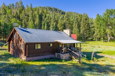 Just 31 miles south of Pagosa Springs, CO and less than 2 miles - photo 16