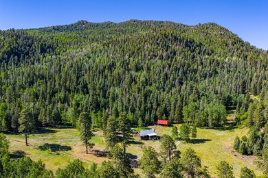 Just 31 miles south of Pagosa Springs, CO and less than 2 miles - photo 17