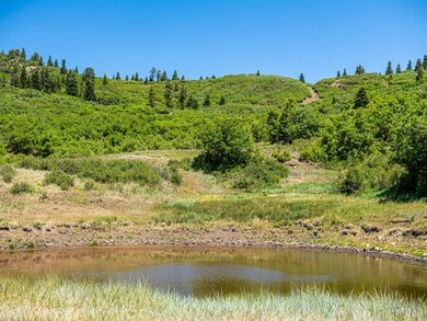Just 31 miles south of Pagosa Springs, CO and less than 2 miles - photo 19