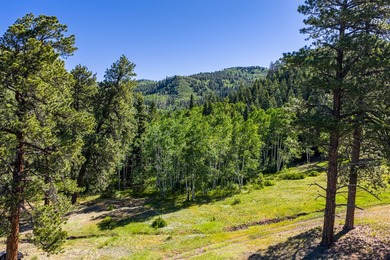 Just 31 miles south of Pagosa Springs, CO and less than 2 miles - photo 20