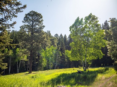 Just 31 miles south of Pagosa Springs, CO and less than 2 miles - photo 21