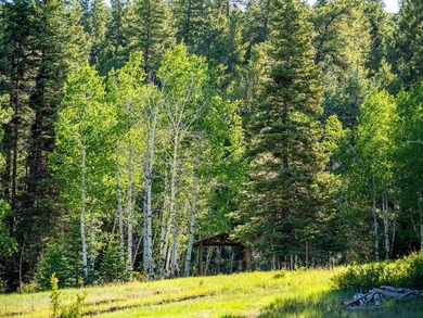 Just 31 miles south of Pagosa Springs, CO and less than 2 miles - photo 22