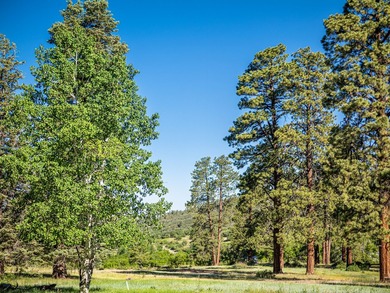 Just 31 miles south of Pagosa Springs, CO and less than 2 miles - photo 23
