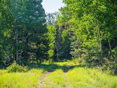 Just 31 miles south of Pagosa Springs, CO and less than 2 miles - photo 24