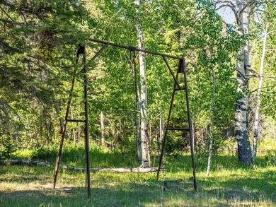 Just 31 miles south of Pagosa Springs, CO and less than 2 miles - photo 26