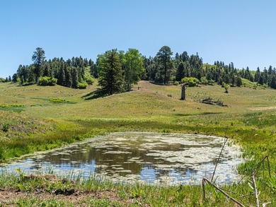 Just 31 miles south of Pagosa Springs, CO and less than 2 miles - photo 27