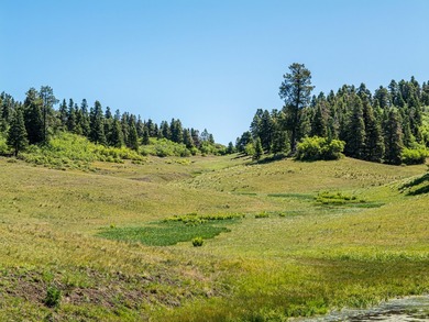 Just 31 miles south of Pagosa Springs, CO and less than 2 miles - photo 28