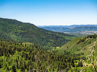 Just 31 miles south of Pagosa Springs, CO and less than 2 miles - photo 29