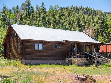 Just 31 miles south of Pagosa Springs, CO and less than 2 miles - photo 38