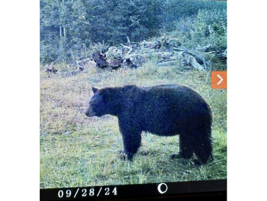 Just 31 miles south of Pagosa Springs, CO and less than 2 miles - photo 43