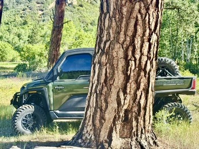 Just 31 miles south of Pagosa Springs, CO and less than 2 miles - photo 49