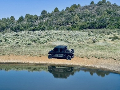 Just 31 miles south of Pagosa Springs, CO and less than 2 miles - photo 50