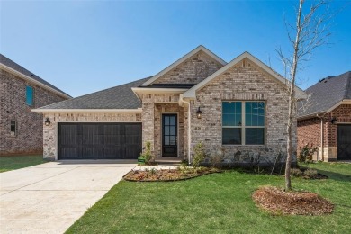 Lake Home For Sale in Little Elm, Texas