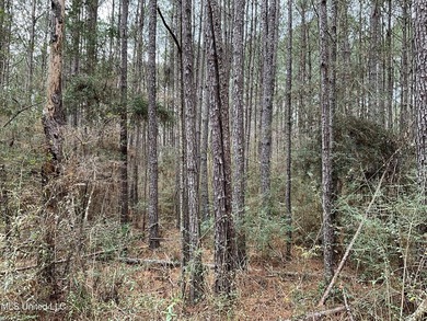 Thank you for viewing this unique 171.71 Acre timber farm in - photo 2