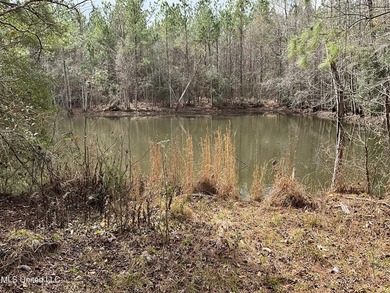 Thank you for viewing this unique 171.71 Acre timber farm in - photo 3