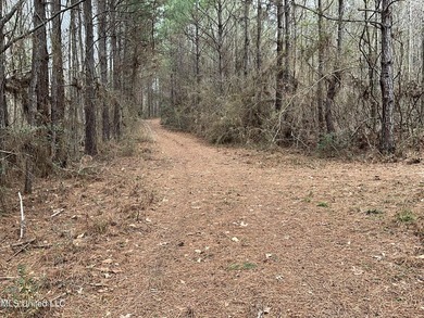 Thank you for viewing this unique 171.71 Acre timber farm in - photo 5