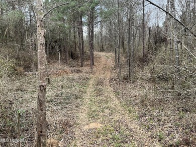 Thank you for viewing this unique 171.71 Acre timber farm in - photo 6