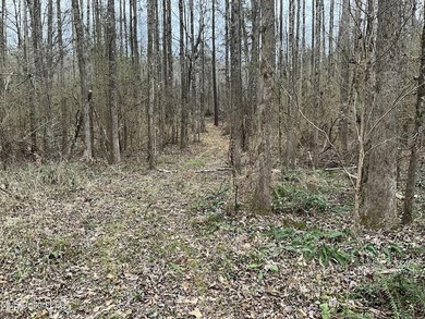 Thank you for viewing this unique 171.71 Acre timber farm in - photo 7