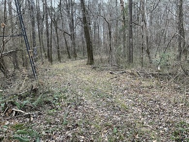 Thank you for viewing this unique 171.71 Acre timber farm in - photo 8