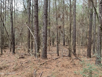Thank you for viewing this unique 171.71 Acre timber farm in - photo 10