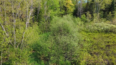 Rare 29A+- acre parcel just minutes from Lake St. George and all - photo 11