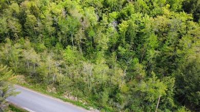 Rare 29A+- acre parcel just minutes from Lake St. George and all - photo 12