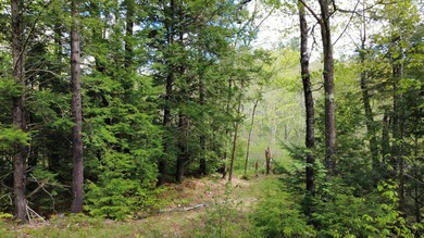 Rare 29A+- acre parcel just minutes from Lake St. George and all - photo 13