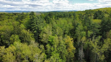 Rare 29A+- acre parcel just minutes from Lake St. George and all - photo 14