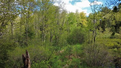Rare 29A+- acre parcel just minutes from Lake St. George and all - photo 15
