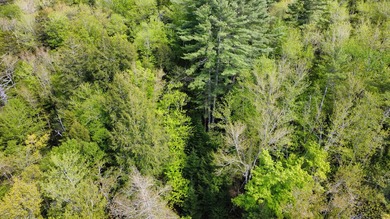Rare 29A+- acre parcel just minutes from Lake St. George and all - photo 16