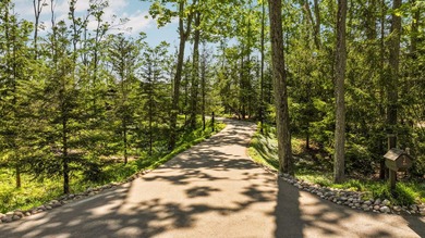 Experience luxury waterfront living on beautiful O'Rourke Lake - photo 6