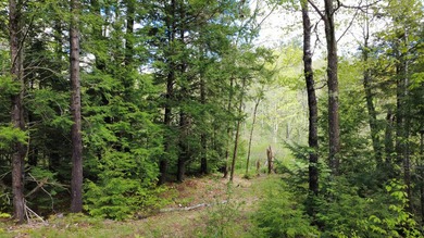 Rare 29A+- acre parcel just minutes from Lake St. George and all - photo 17