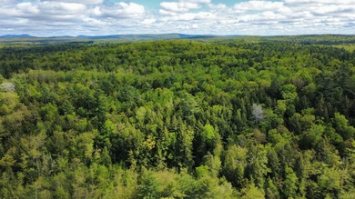 Rare 29A+- acre parcel just minutes from Lake St. George and all - photo 18