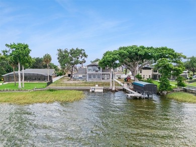 Welcome to Paradise on Lake Harris, an extraordinary lakefront - photo 38