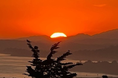 Close to downtown, this gated & private Carpinteria coastal - photo 42