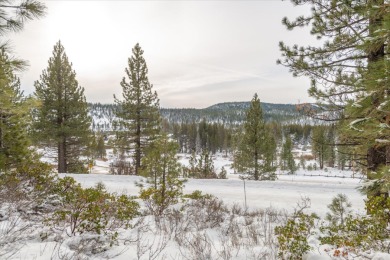 Donner Lake Lot For Sale in Truckee California