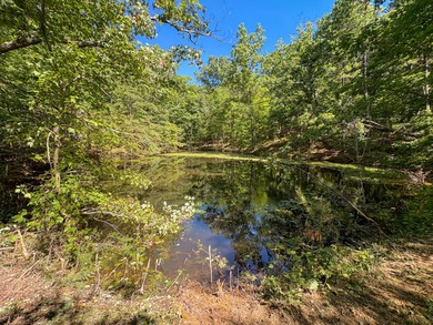 (private lake, pond, creek) Acreage For Sale in Willow Springs Missouri