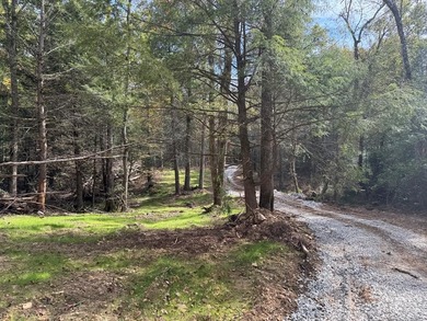 Lake Acreage For Sale in Crossville, Tennessee