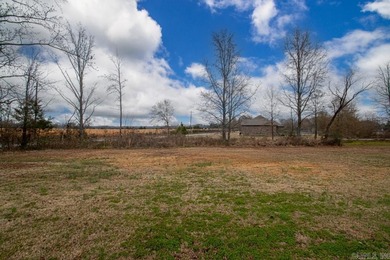 This beautiful home is located in the Greenbrier/Wooster area. 2